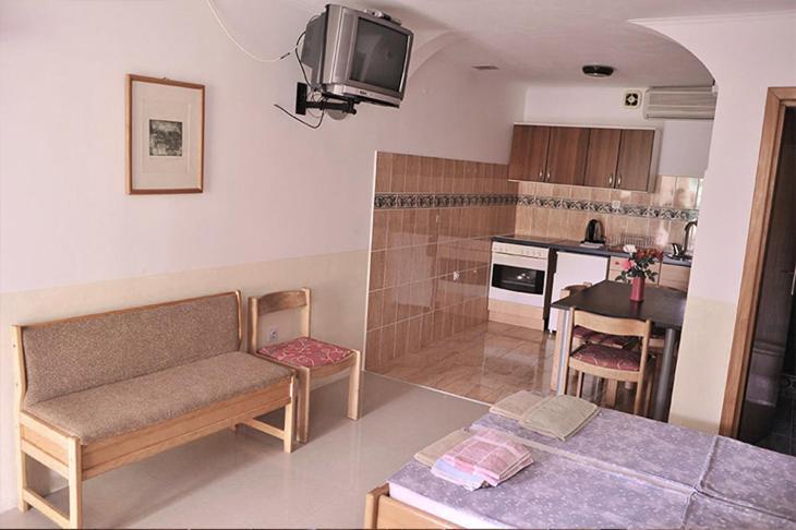 Vila Mila Petrovac Buitenkant foto