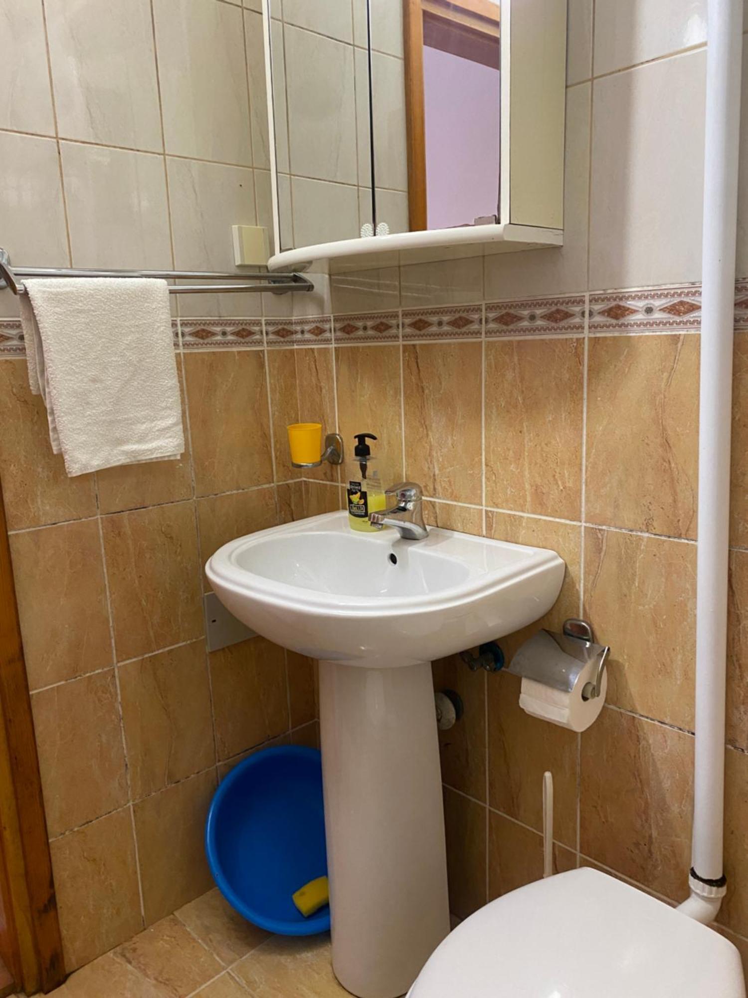 Vila Mila Petrovac Buitenkant foto